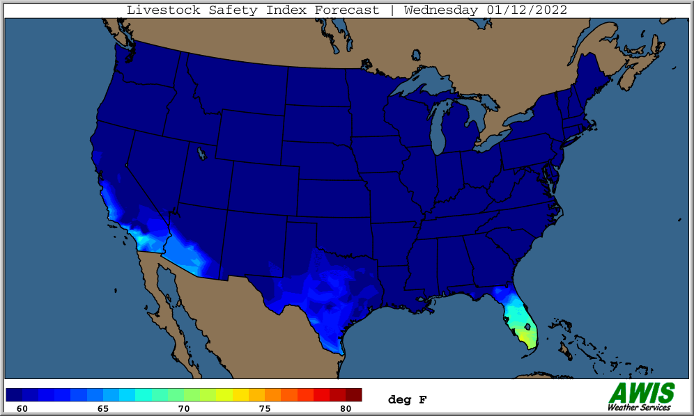 Custom weather content and data feed