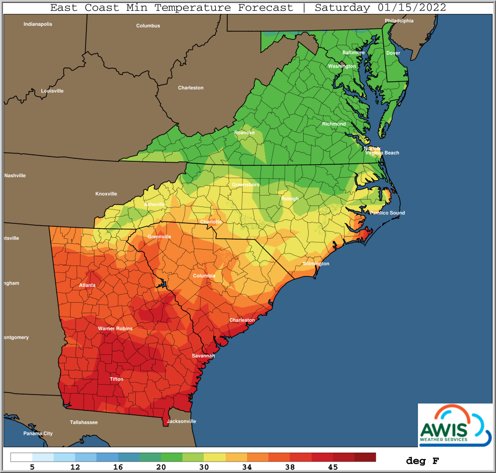 Custom weather content and data feed