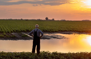 AWIS Weather Services for Ag