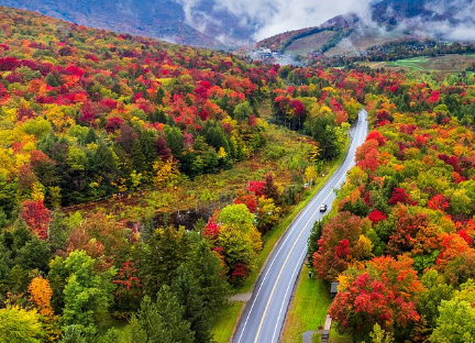 Fall Foliage